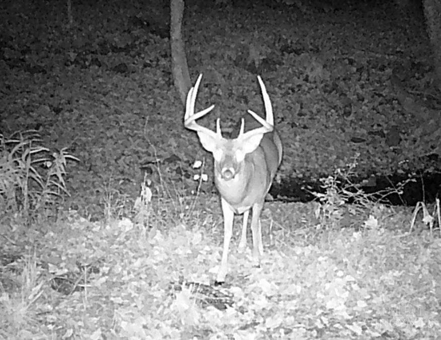 Ac Beech Fork Road Peebles, OH 45660 - Photo 29 of 49