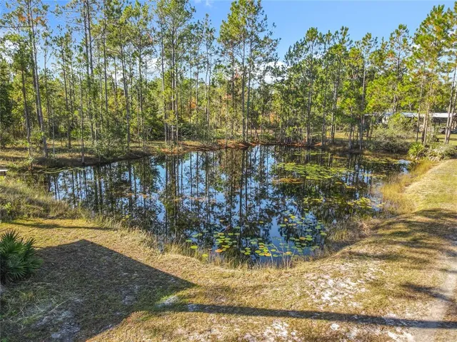 a view of a yard with an outdoor space