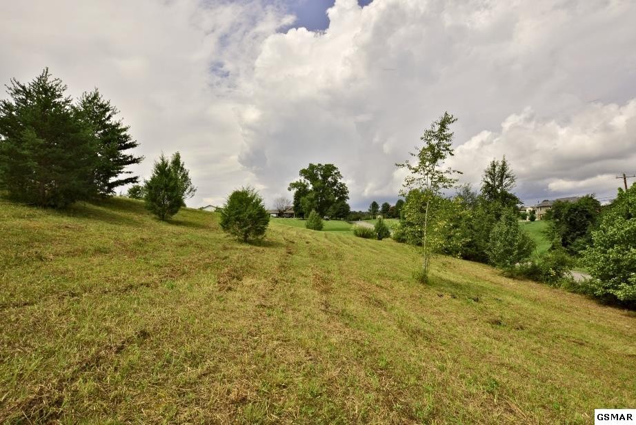 1819 Edwina Bridgeport Road Newport, TN 37821 - Photo 3 of 15 Gallery Image 3