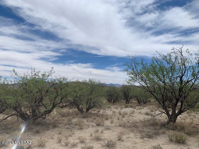 Ocotillo Road Benson, AZ 85602 - Photo 2 of 20 Gallery Image 2