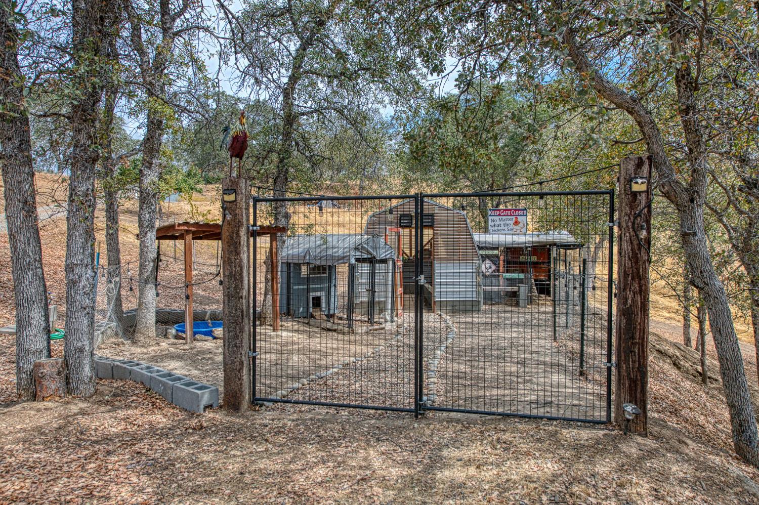 46828 Skyline Ridge Road Coarsegold, CA 93614 - Photo 50 of 66 Gallery Image 50