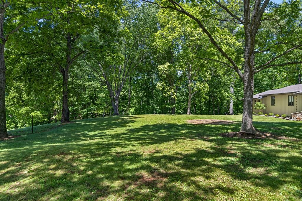 143 Griffintown Road Sparta, TN 38583 - Photo 3 of 35 a view of a backyard with large trees