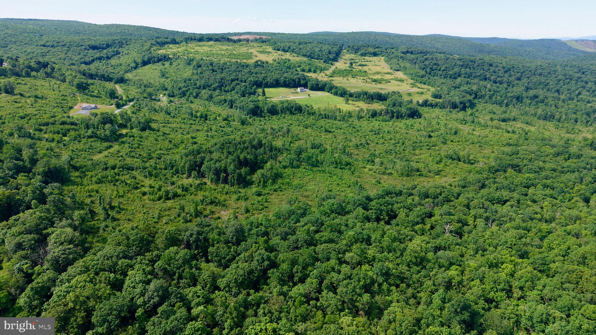 0 Enid Mountain Road Six Mile Run, PA 16679 - Photo 6 of 21 Gallery Image 6
