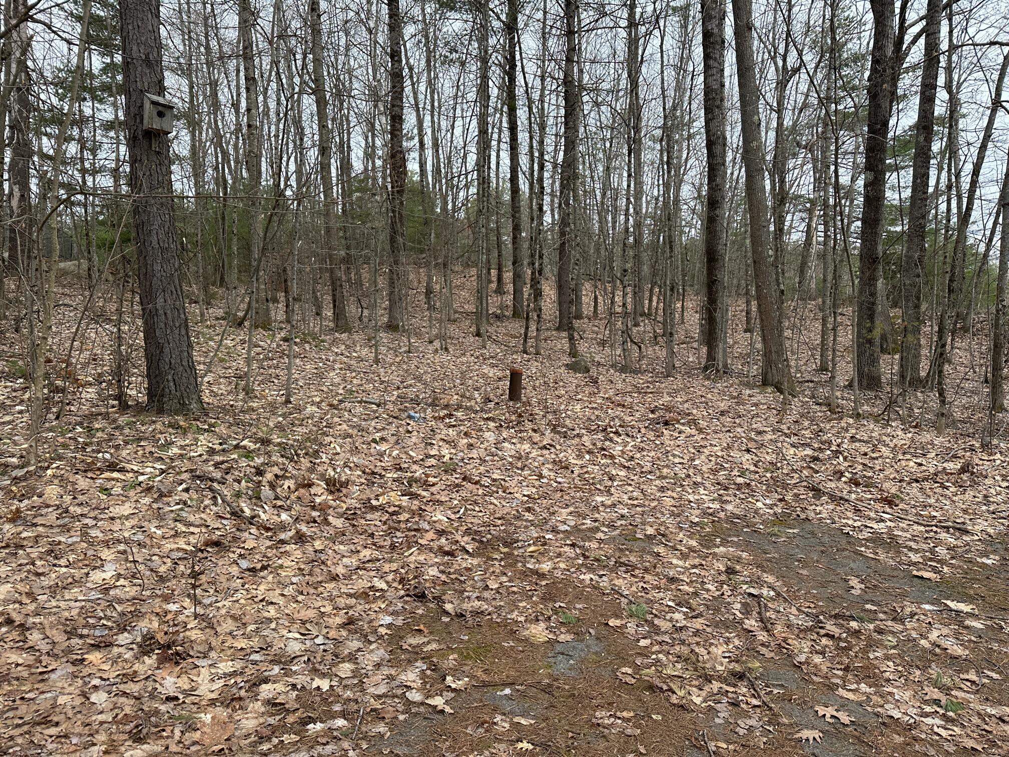 637 Ross Corner Road Shapleigh, ME 04076 - Photo 8 of 11 8