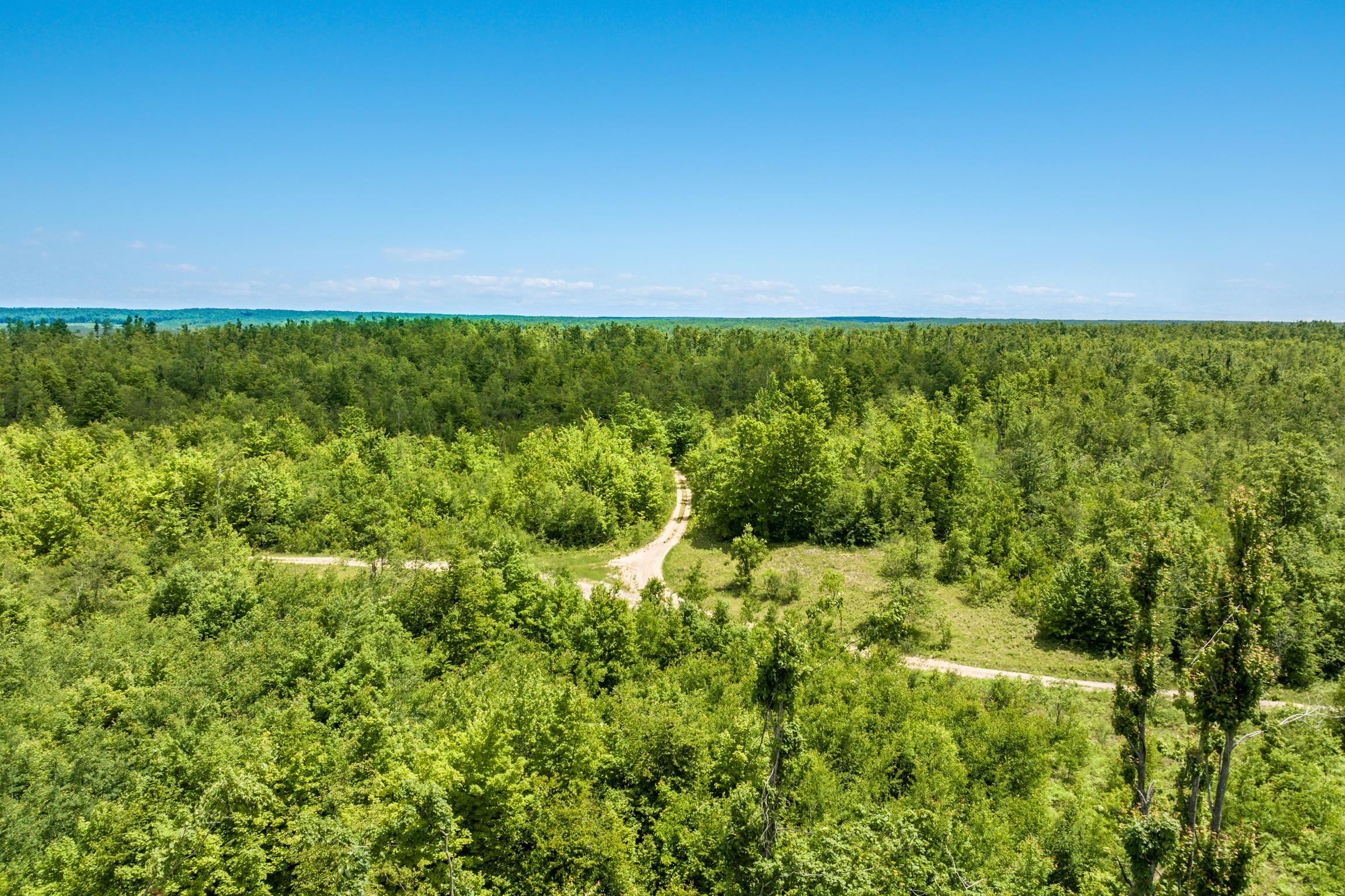 0 Mt Frederick Road Frederic, MI 49733 - Photo 6 of 17 1947156-1d507460-4c12-4753-8e1f-708275cf3e58.JPG