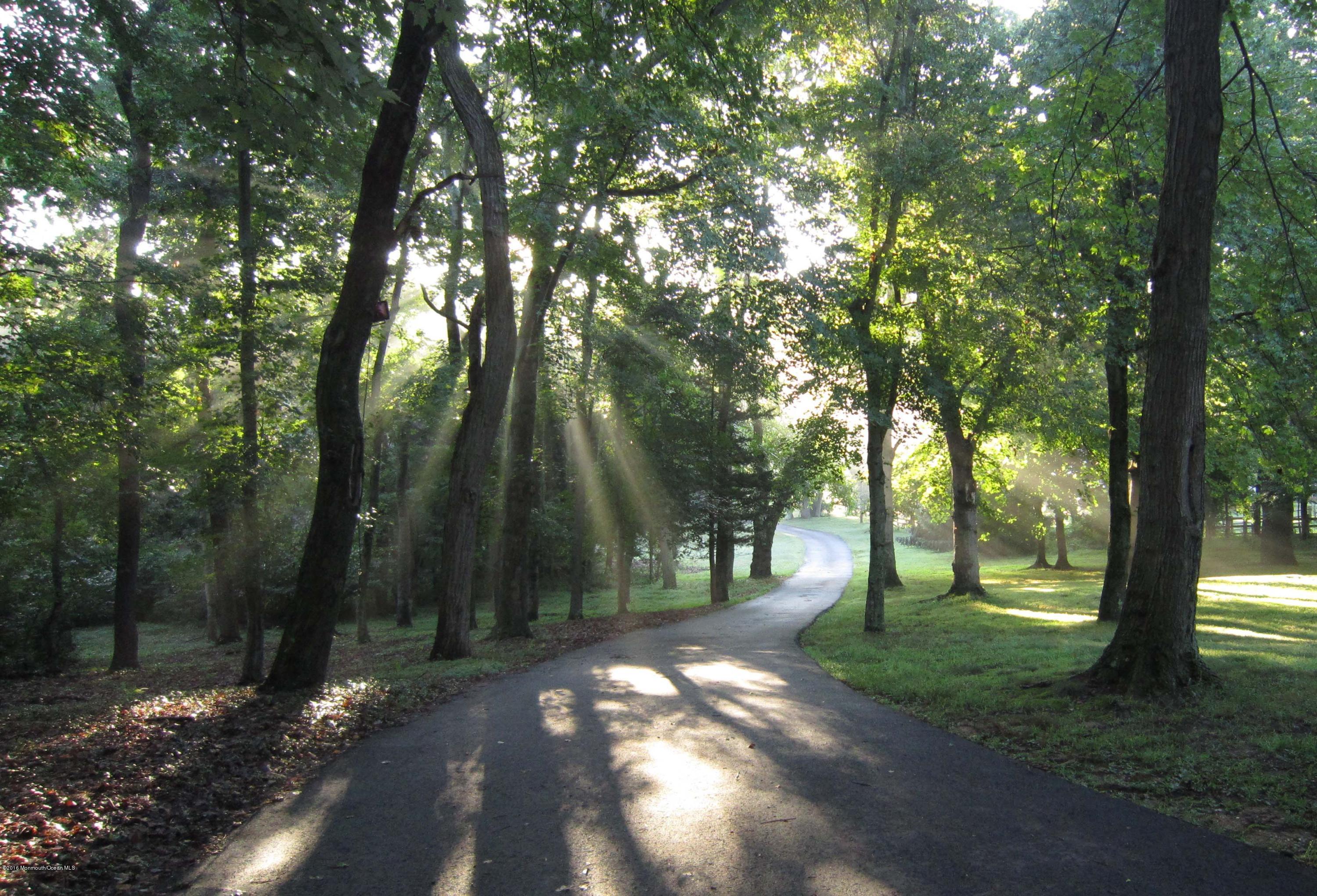 55 Creamery Road Colts Neck, NJ 07722 - Photo 1 of 24 Driveway view from garage