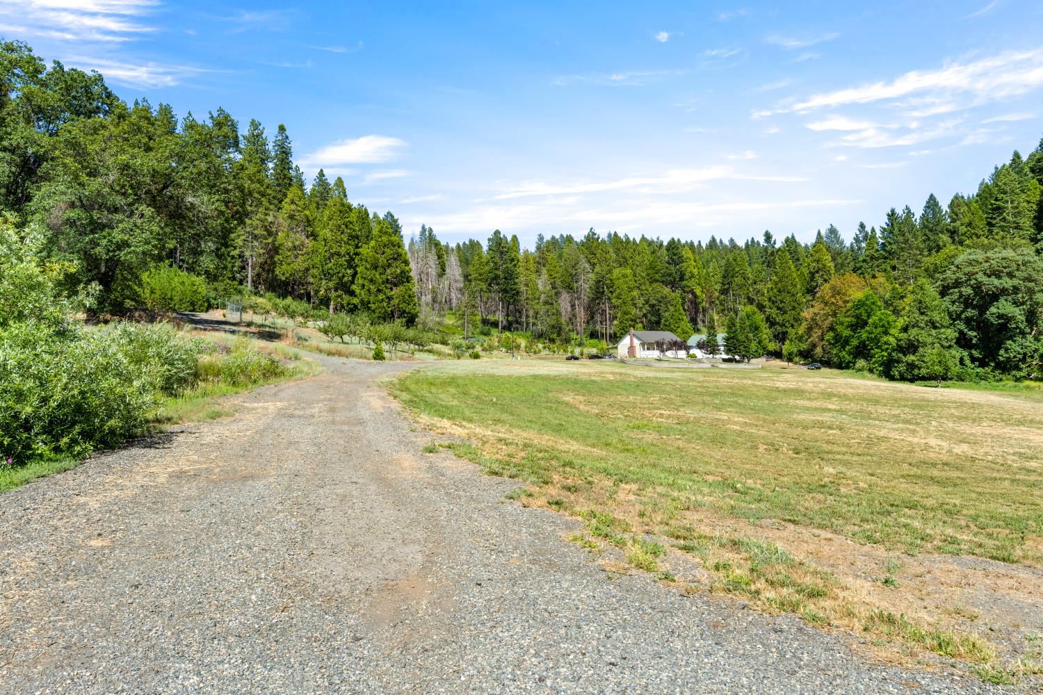 1237 Cable Road Camino, CA 95709 - Photo 14 of 87