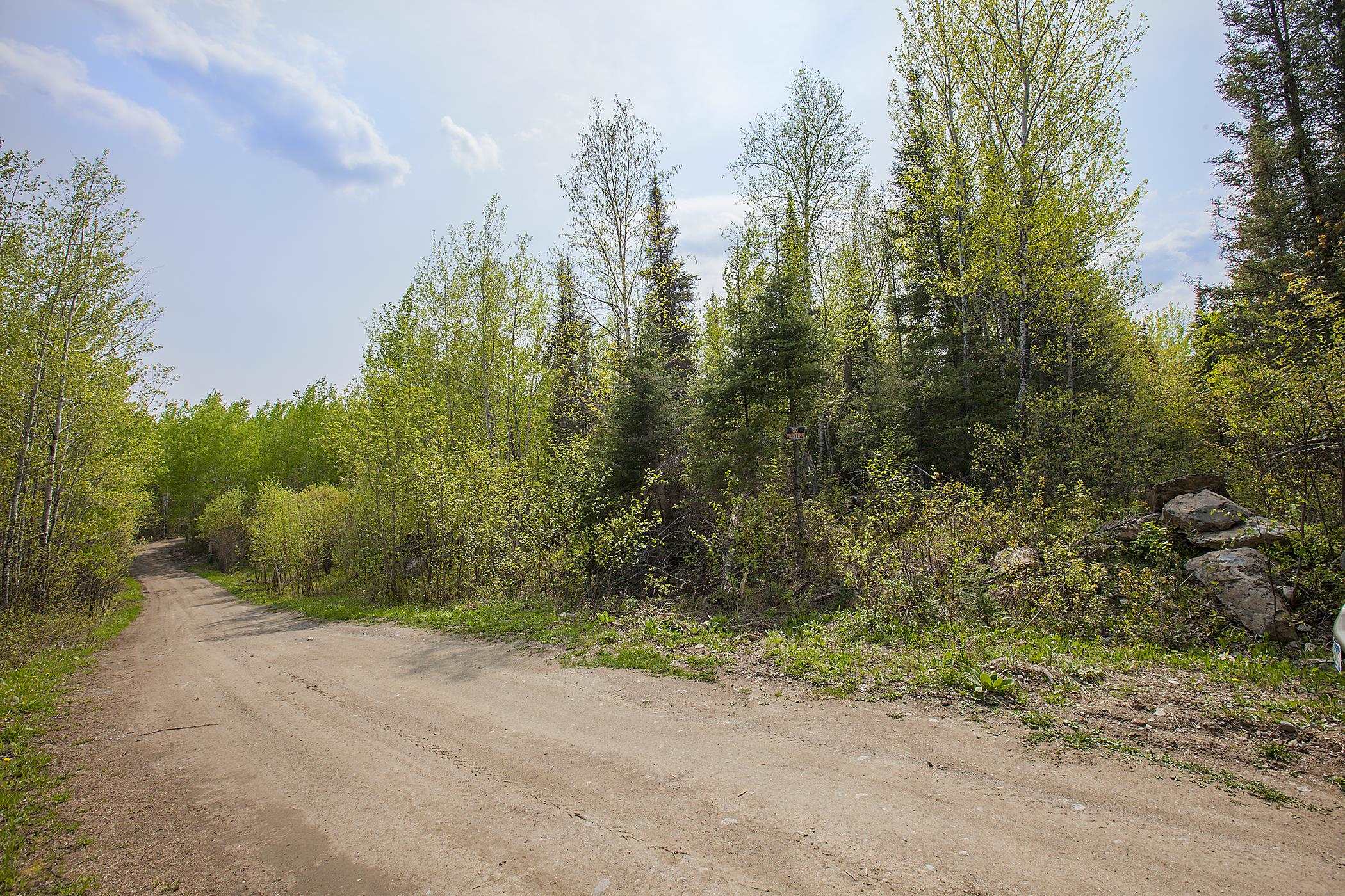 Tbd Lot 5 Tbd Lane Ely, MN 55731 - Photo 3 of 8