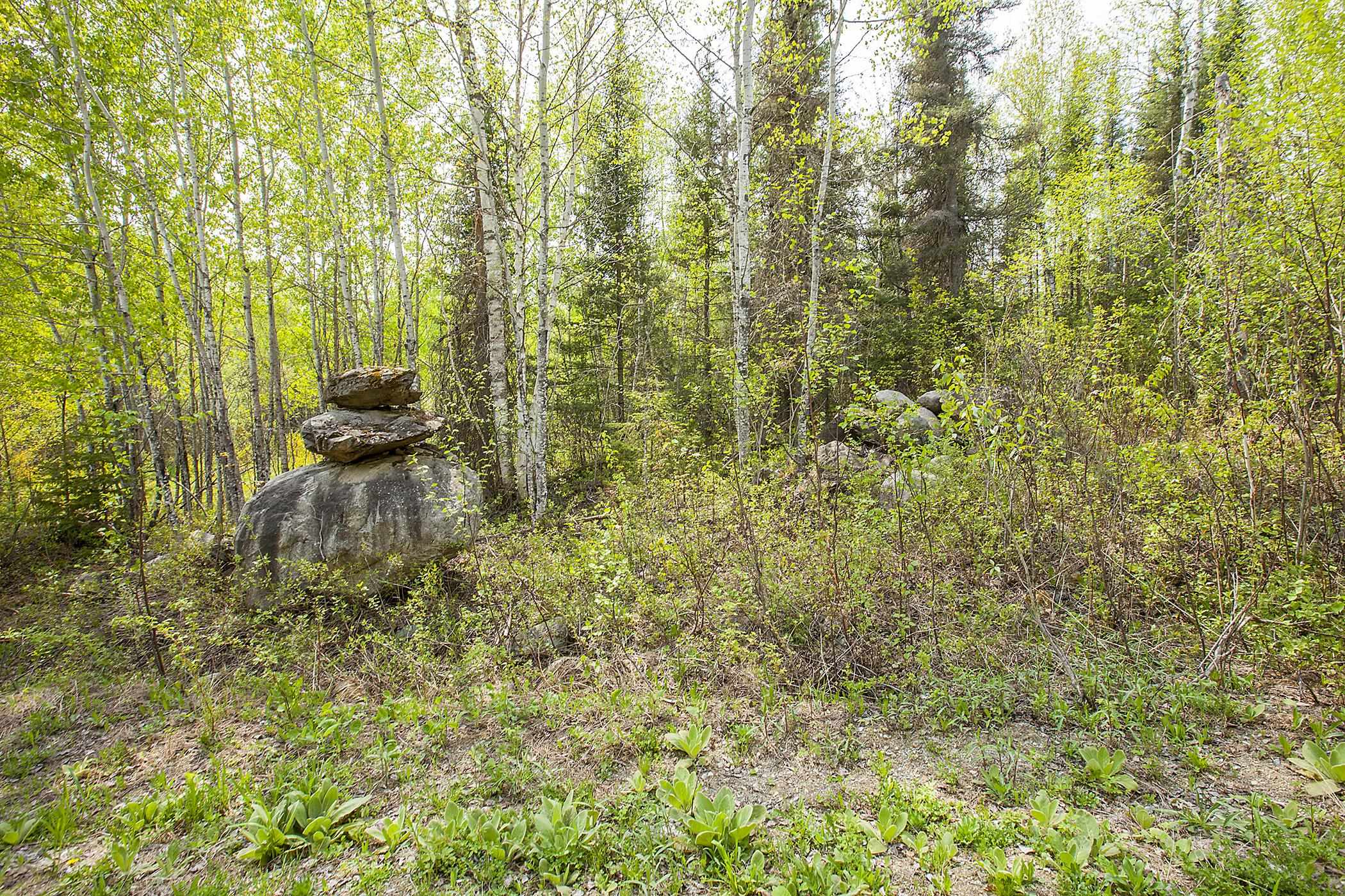 Tbd Lot 5 Tbd Lane Ely, MN 55731 - Photo 4 of 8