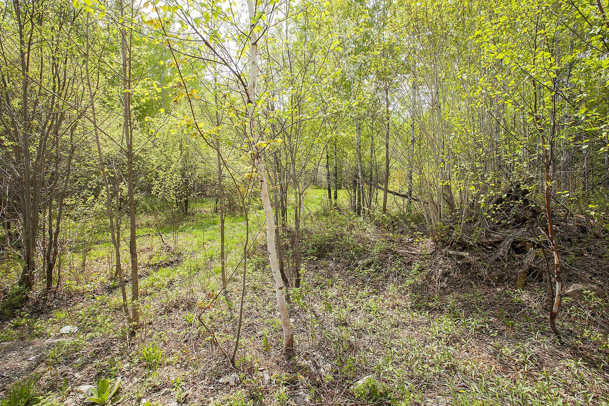 Tbd Lot 5 Tbd Lane Ely, MN 55731 - Photo 5 of 8