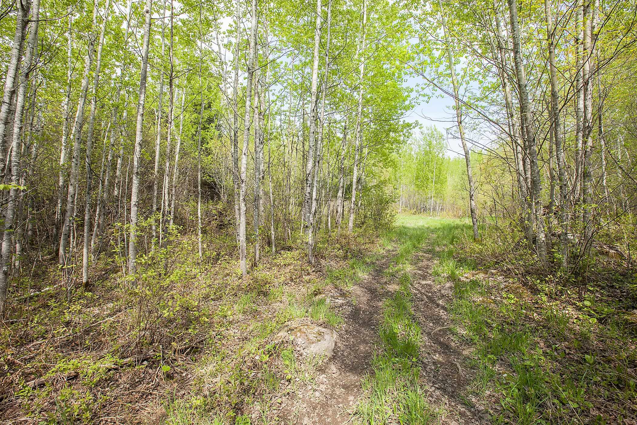 Tbd Lot 5 Tbd Lane Ely, MN 55731 - Photo 6 of 8