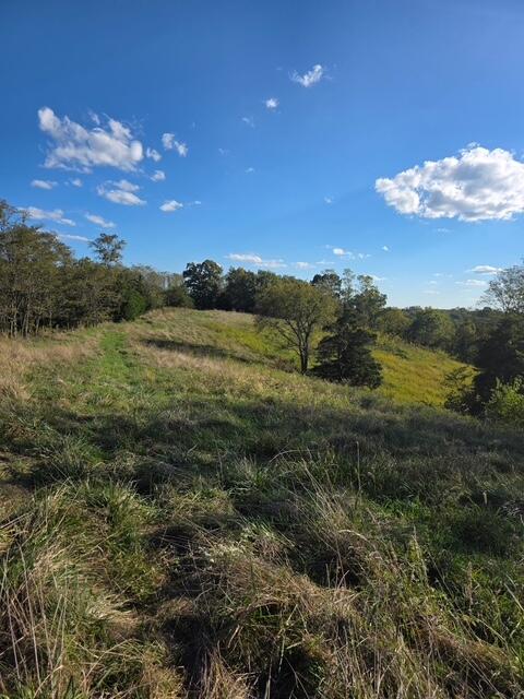 408 Mattox Road Falmouth, KY 41040 - Photo 17 of 28