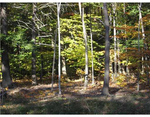 38 Autumn Ridge Road Cumberland, ME 04021 - Photo 2 of 8 Yard/Garden.