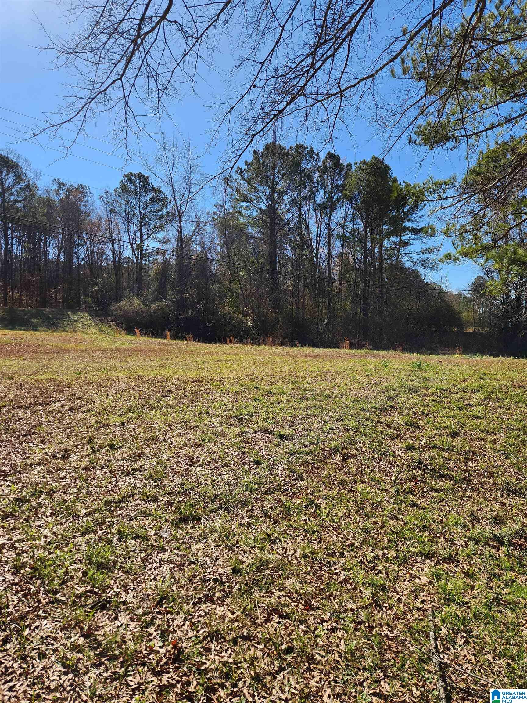 29 Self Road, Unit 1 Anniston, AL 36201 - Photo 6 of 12