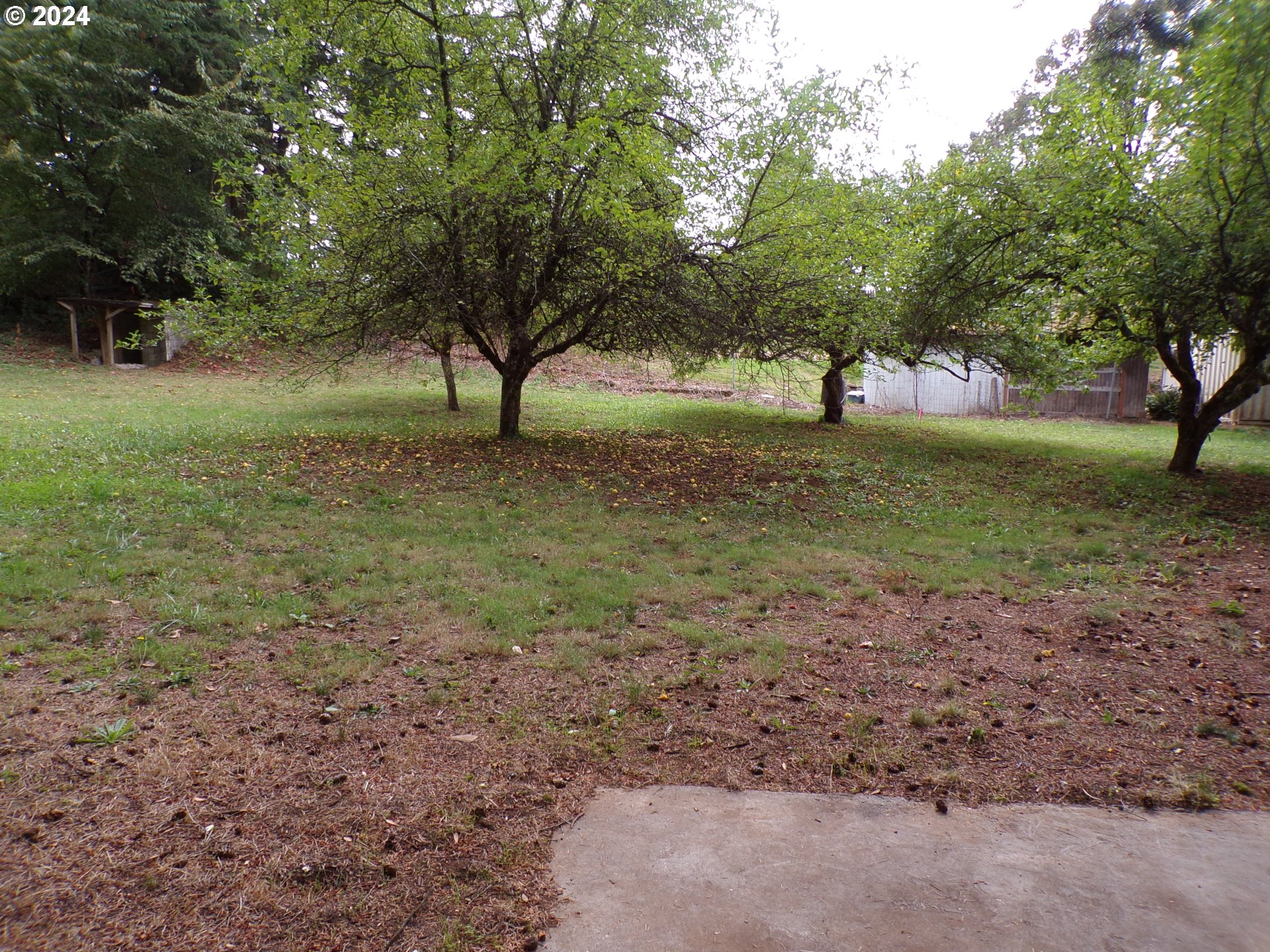 730 Forest Lane Cascade Locks, OR 97014 - Photo 38 of 43