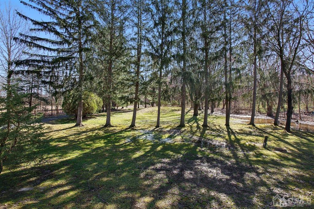 173 Cottrell Road Old Bridge, NJ 07747 - Photo 8 of 28 a view of yard