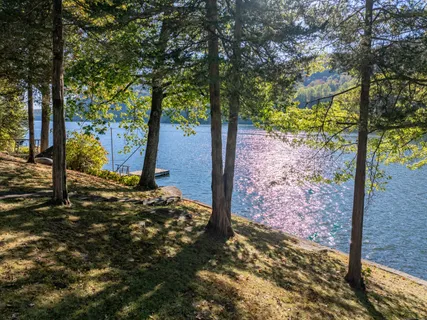 a view of a tree with outside space