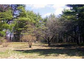 166 Candia Road Chester, NH 03036 - Photo 3 of 4 Gallery Image 3