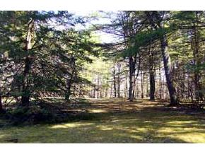 166 Candia Road Chester, NH 03036 - Photo 4 of 4 Gallery Image 4