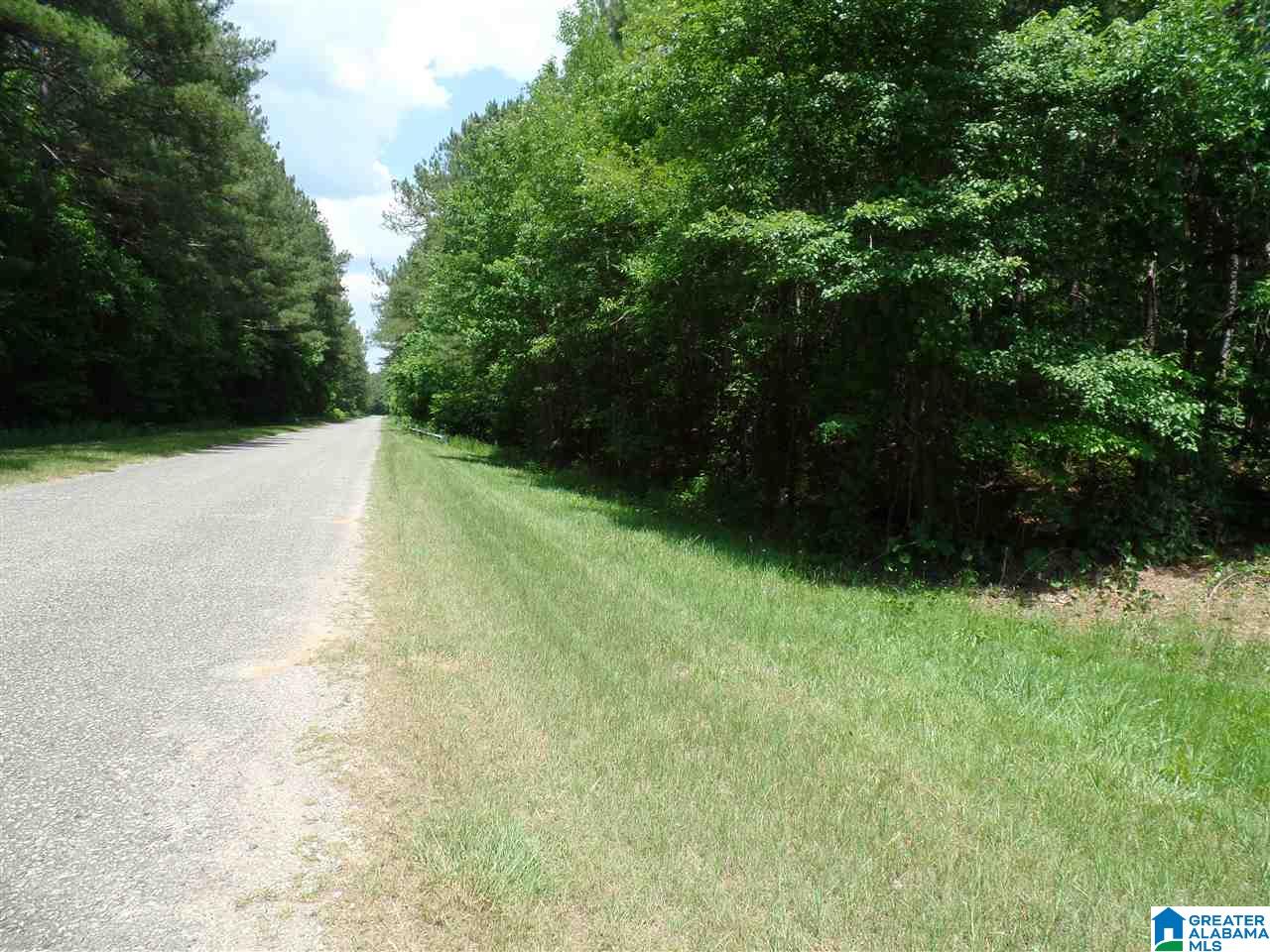 457 County Road, Unit 5 Heflin, AL 36264 - Photo 5 of 20
