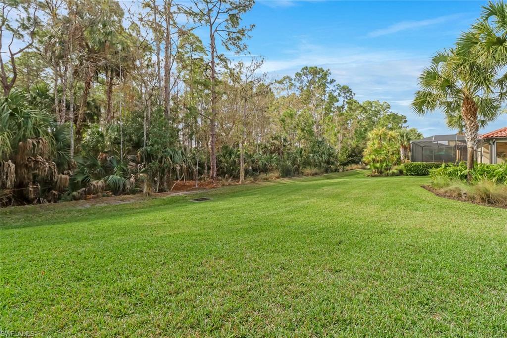 4435 Raffia Palm Circle Naples, FL 34119 - Photo 34 of 34 Gallery Image 34