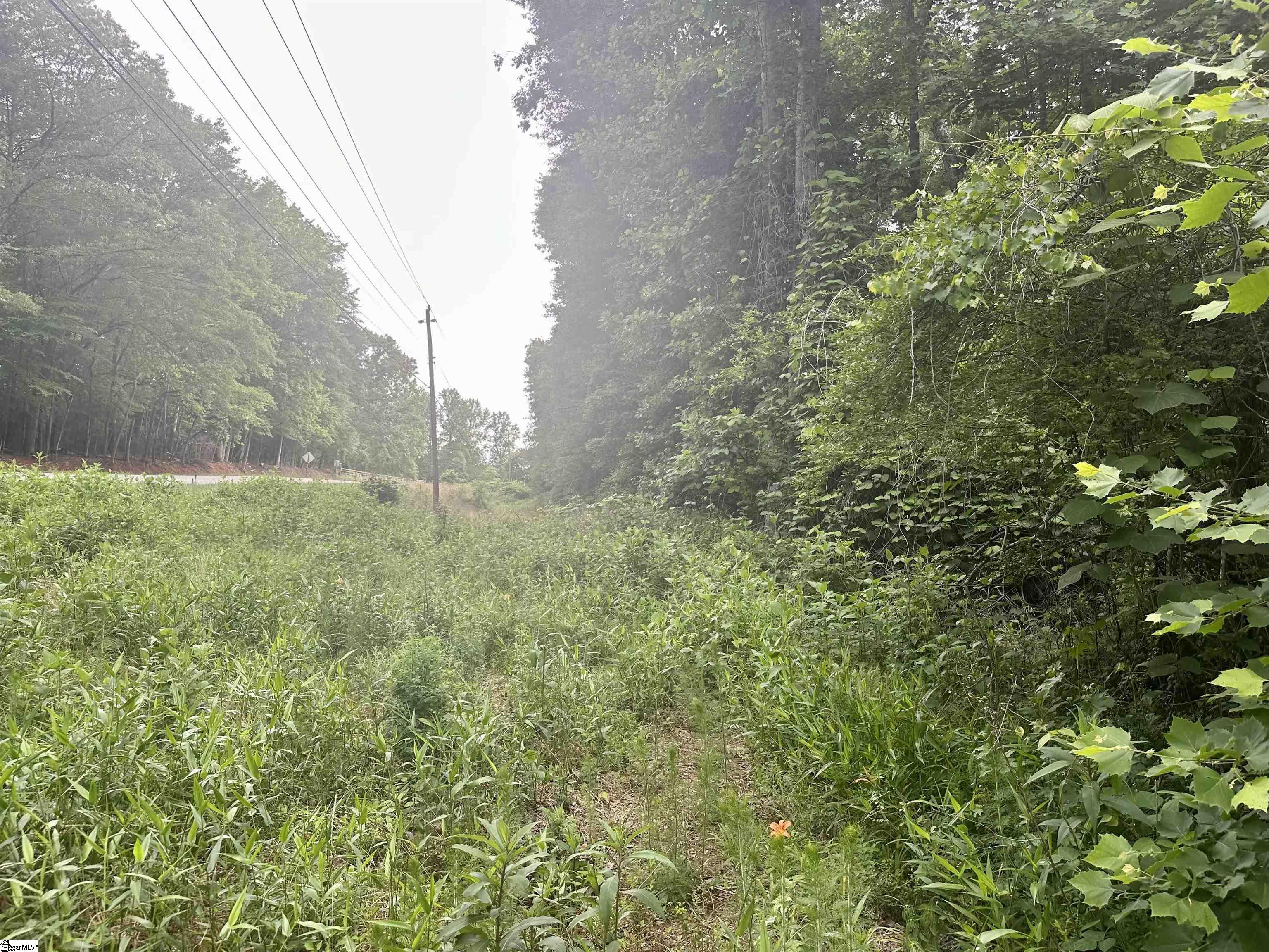 0 Dacusville Road Marietta, SC 29661 - Photo 4 of 5