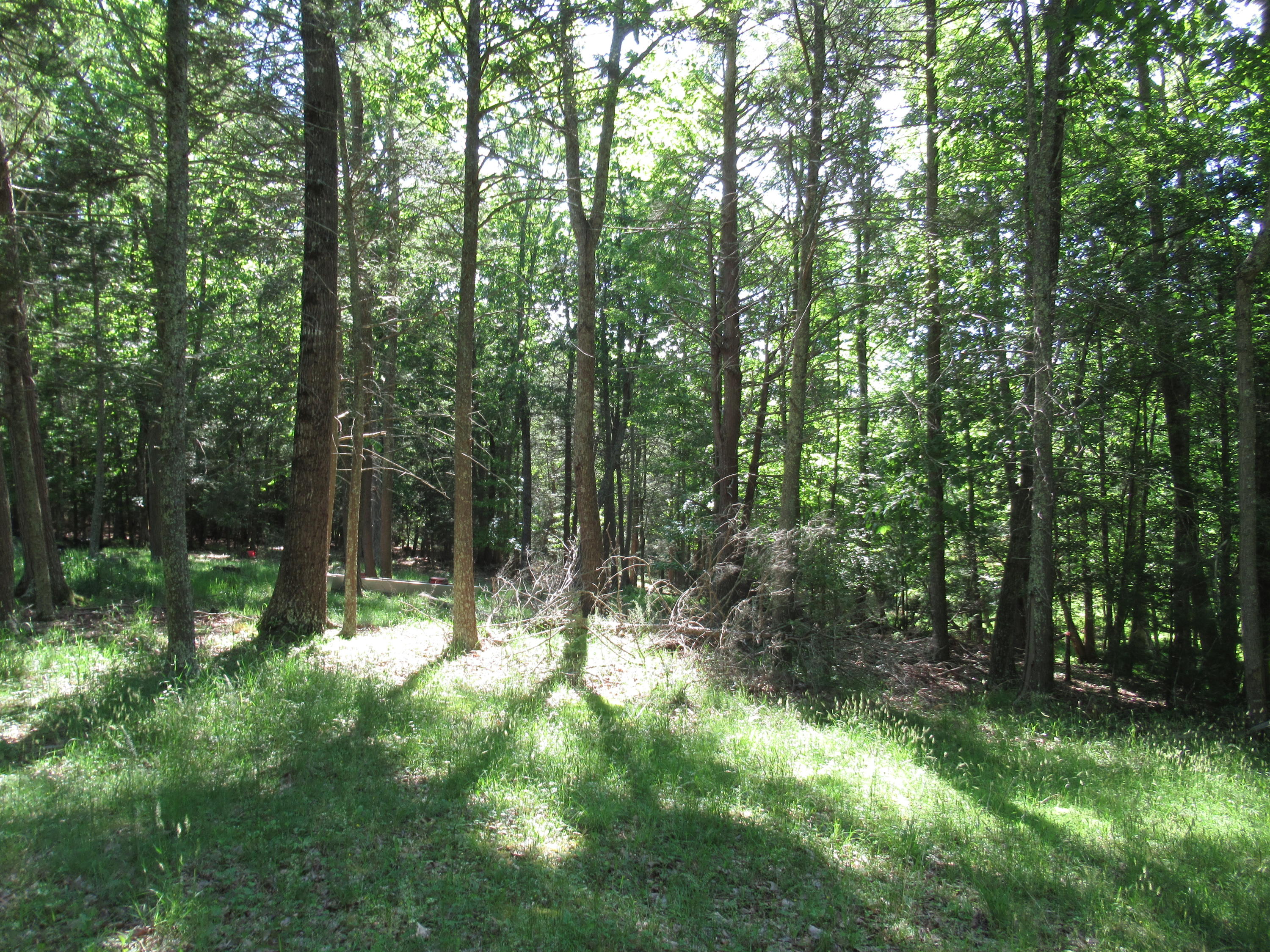 429 Woodbrier Estates Road Alderson, WV 24910 - Photo 31 of 38 Gallery Image 31