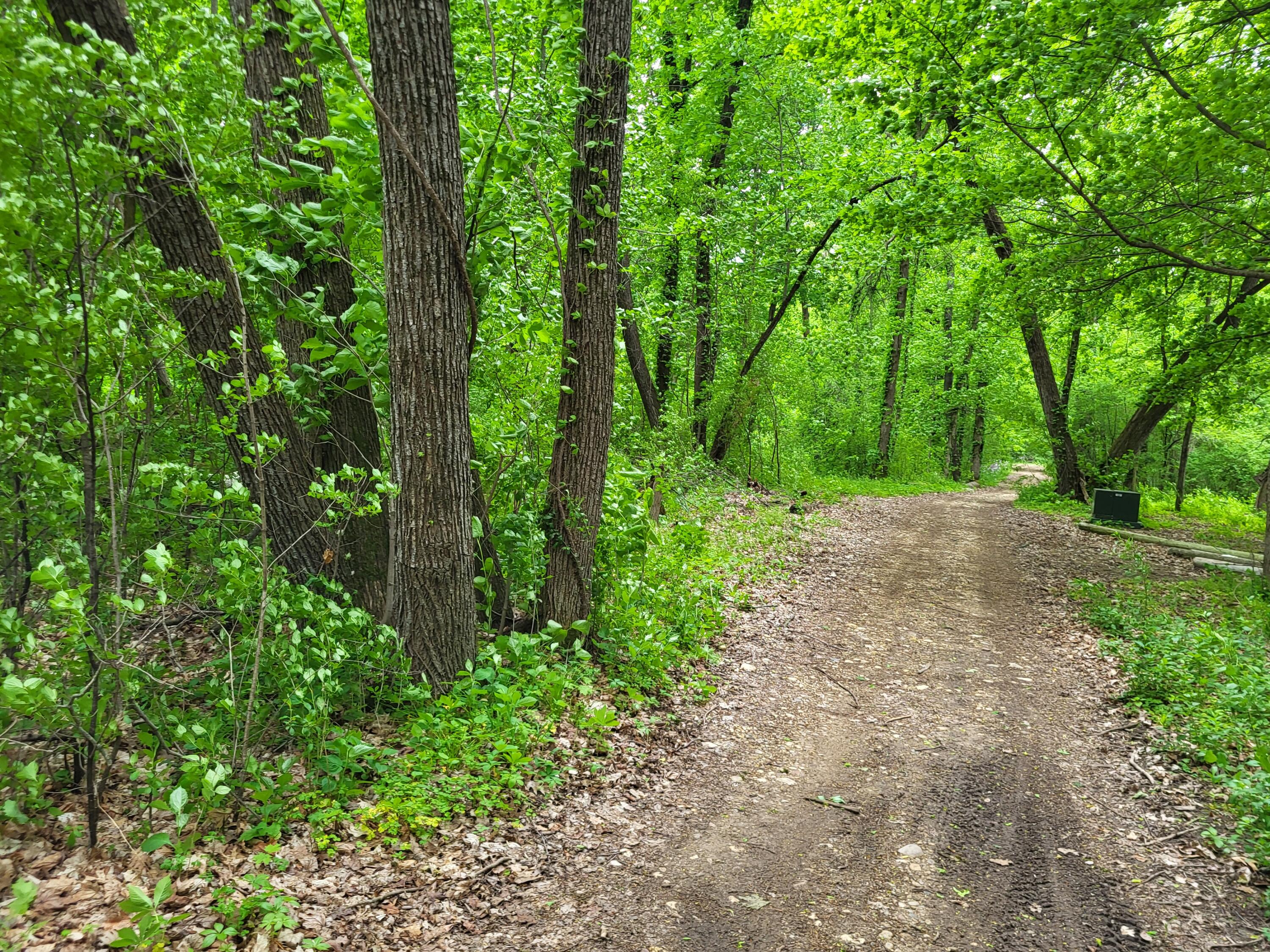 1614 Sugar Island Road Summit, WI 53066 - Photo 24 of 28 20260519_153422
