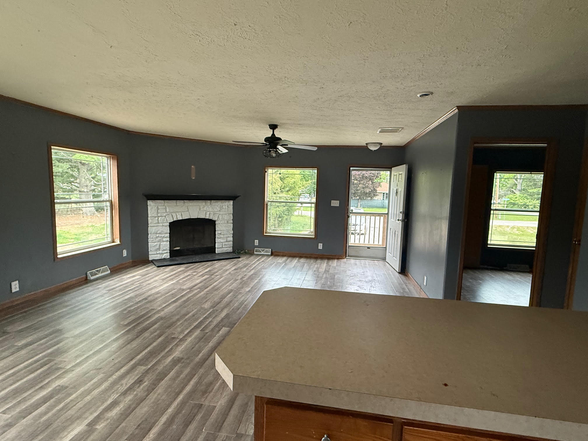 212 Cass Street Mio, MI 48647 - Photo 2 of 6 unnamed (1)