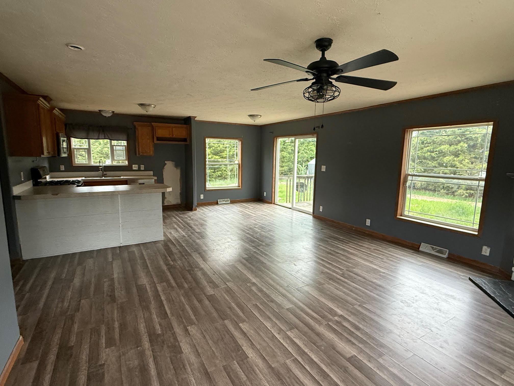 212 Cass Street Mio, MI 48647 - Photo 3 of 6 unnamed