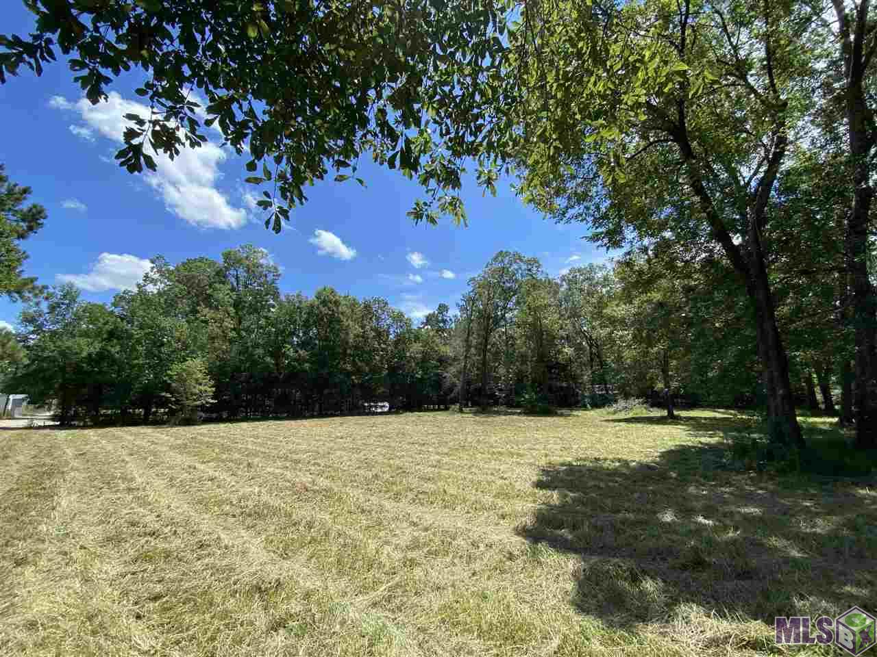 21569 Walker South Road Denham Springs, LA 70726 - Photo 1 of 7 Gallery Image 1