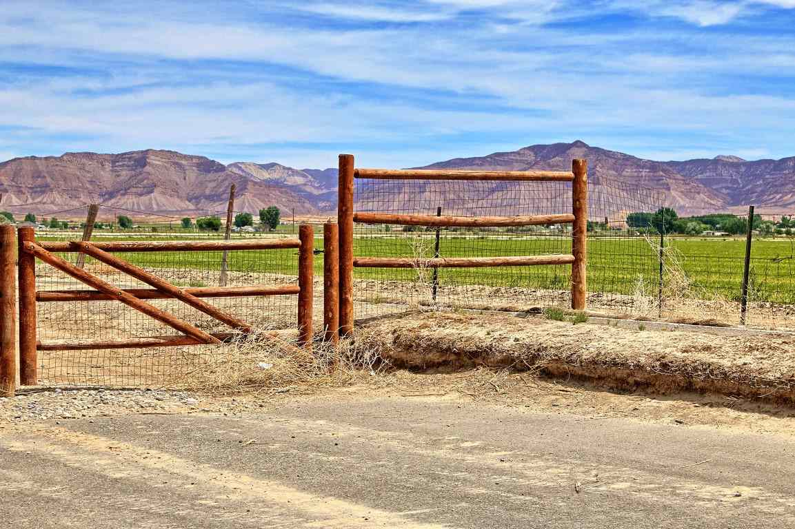 2049 Roma Avenue Fruita, CO 81521 - Photo 2 of 42 Gallery Image 2