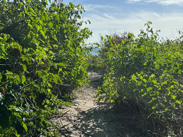 $7,500,000 | 4200 North Surf Road, Hollywood, FL 33019