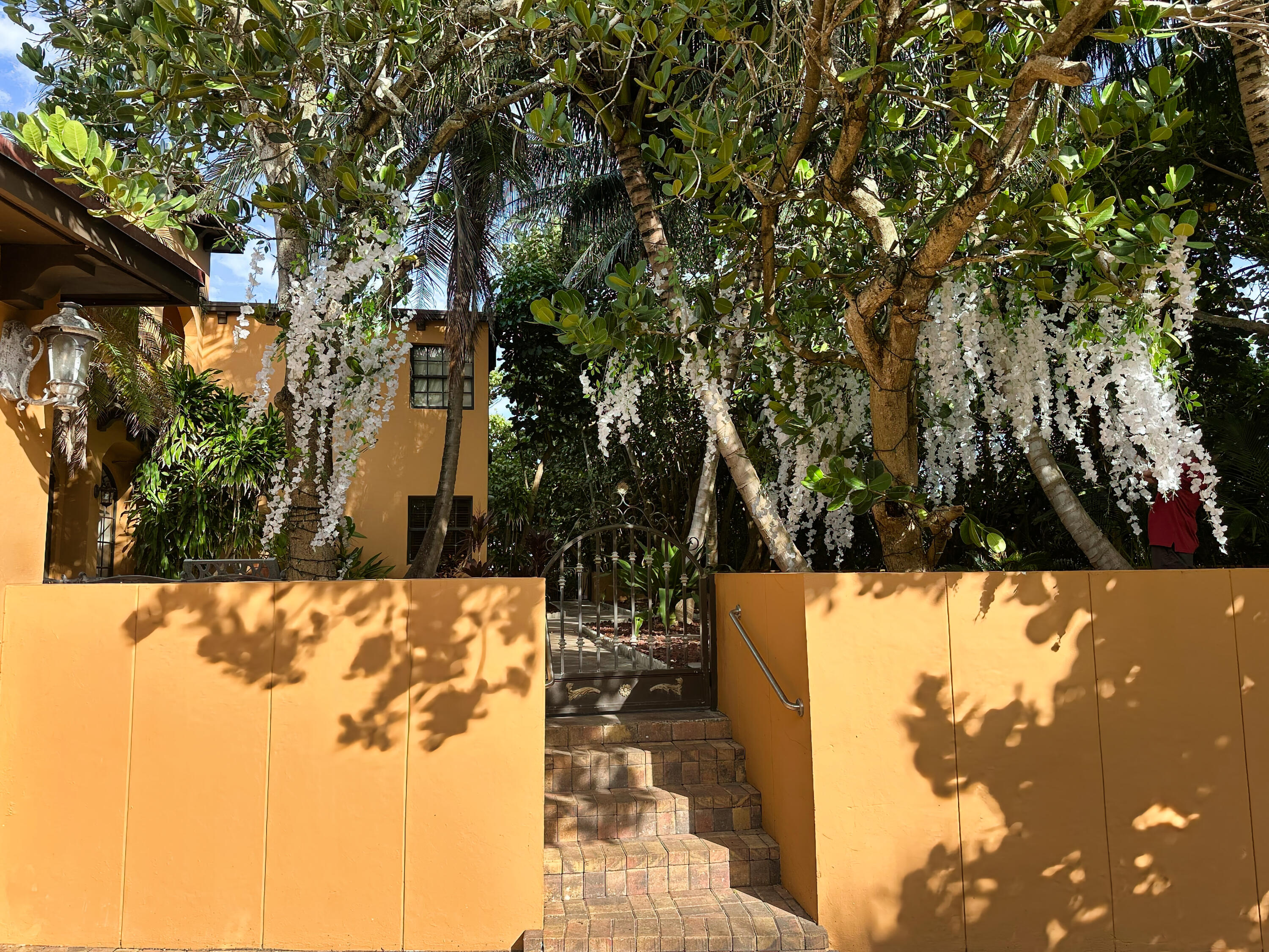 4200 North Surf Road Hollywood, FL 33019 - Photo 9 of 33 a view of a yard with plants and trees