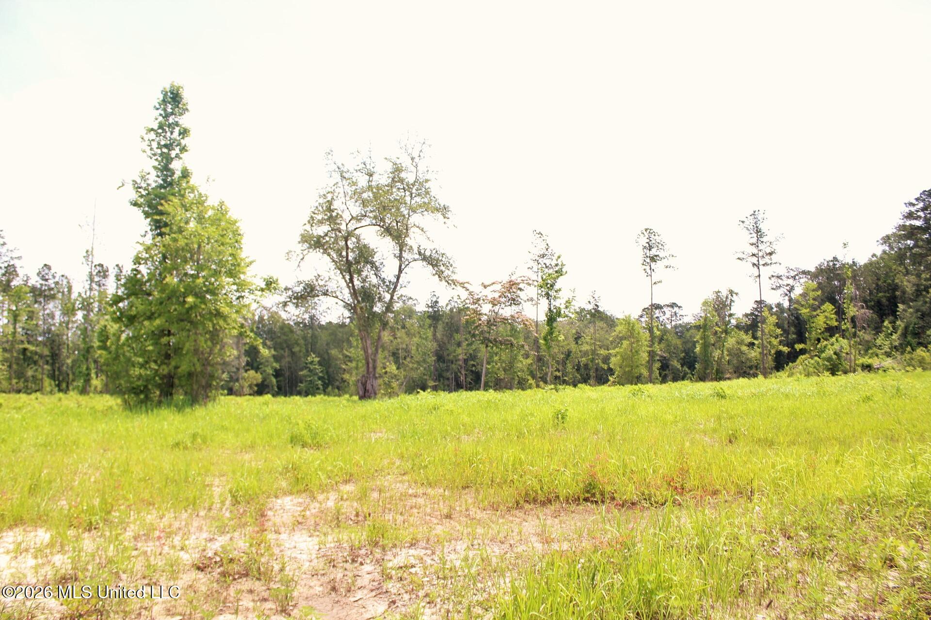 24.48-ac River Road Lucedale, MS 39452 - Photo 13 of 19 IMG_3926
