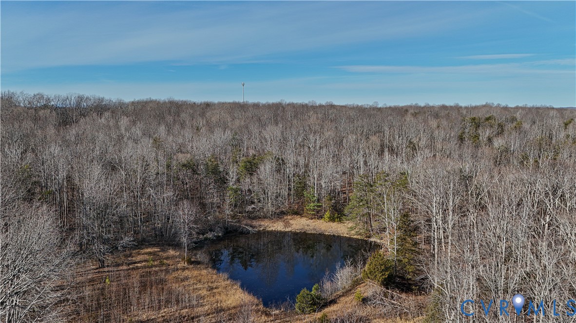 3370 Stage Coach Road Farmville, VA 23901 - Photo 38 of 45 Pond