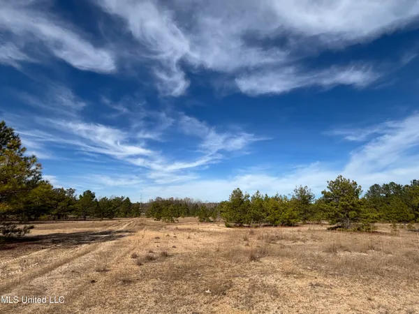 $1,165,500 | Fletchers Chapel Road, Bentonia, MS 39040