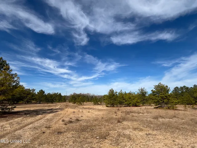 $1,165,500 | Fletchers Chapel Road, Bentonia, MS 39040