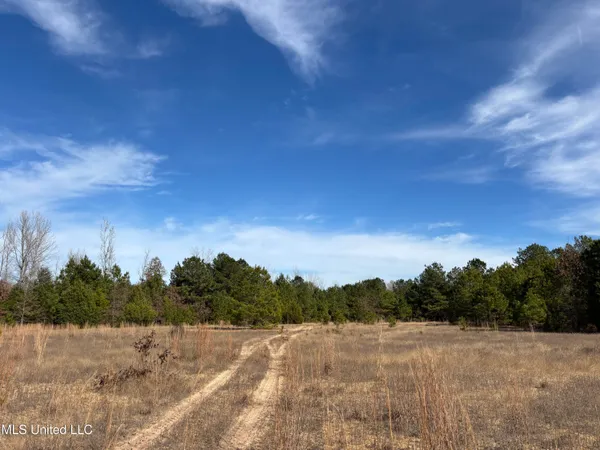 $1,165,500 | Fletchers Chapel Road, Bentonia, MS 39040