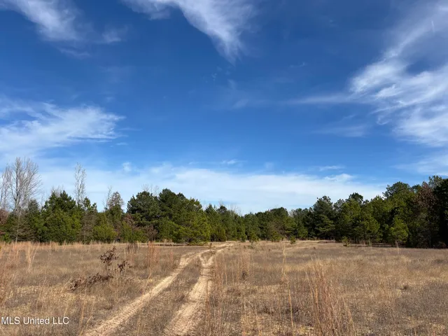 $1,165,500 | Fletchers Chapel Road, Bentonia, MS 39040