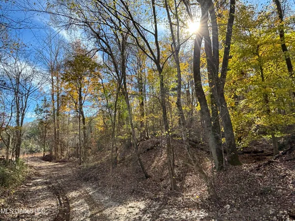 $1,165,500 | Fletchers Chapel Road, Bentonia, MS 39040