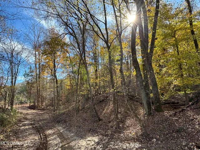 $1,165,500 | Fletchers Chapel Road, Bentonia, MS 39040