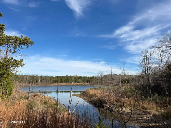 $1,165,500 | Fletchers Chapel Road, Bentonia, MS 39040