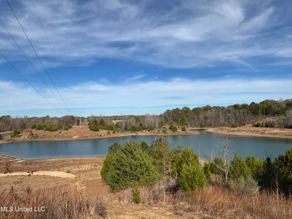 $1,165,500 | Fletchers Chapel Road, Bentonia, MS 39040