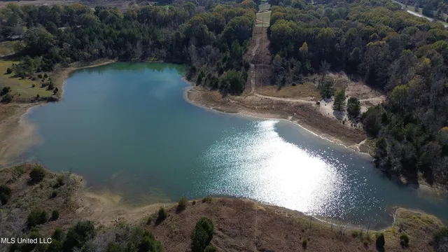 $1,165,500 | Fletchers Chapel Road, Bentonia, MS 39040