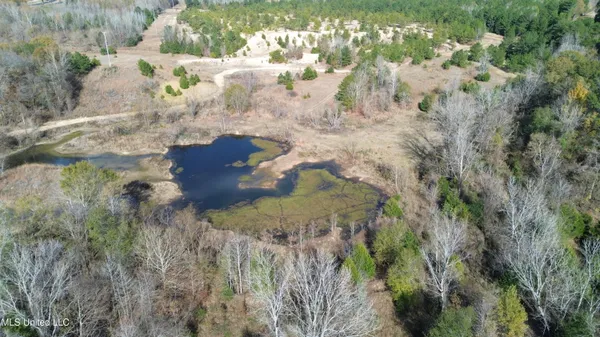 $1,165,500 | Fletchers Chapel Road, Bentonia, MS 39040