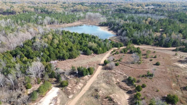 $1,165,500 | Fletchers Chapel Road, Bentonia, MS 39040