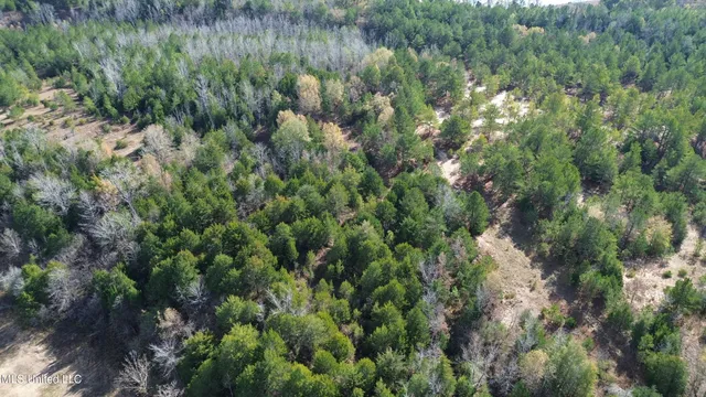 $1,165,500 | Fletchers Chapel Road, Bentonia, MS 39040