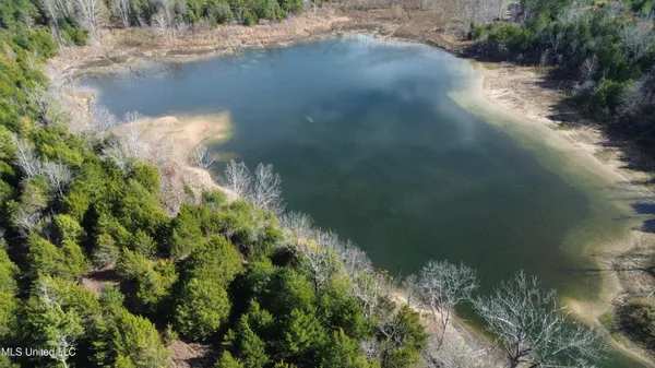 $1,165,500 | Fletchers Chapel Road, Bentonia, MS 39040