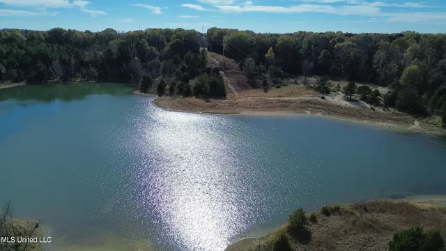 $1,165,500 | Fletchers Chapel Road, Bentonia, MS 39040